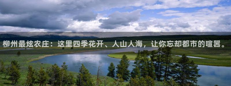 pg电子api接口