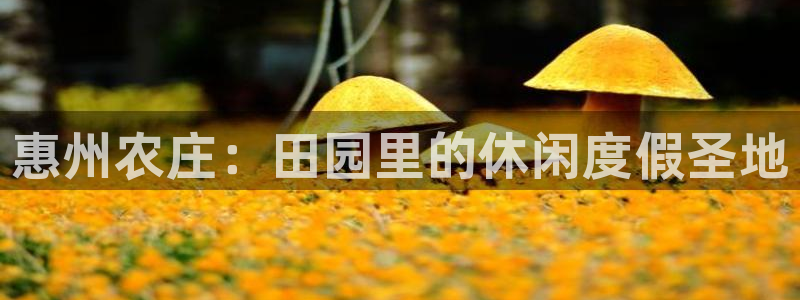 试玩pg电子平台