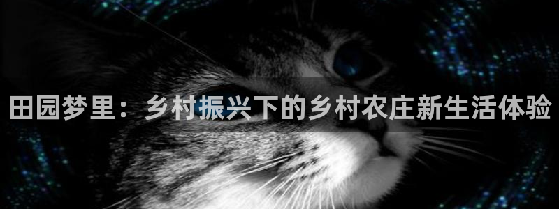pg电子