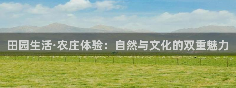 在哪能玩pg电子