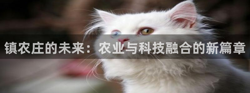 pg双喜临门电子视频