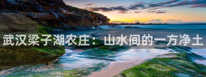 pg电子试玩进入