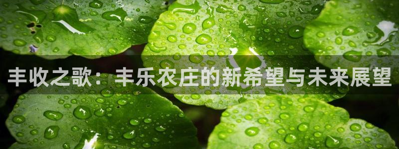 pg电子哪个玩的人最多