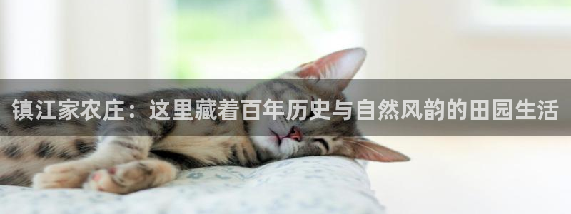 网页打不开Pg电子游戏