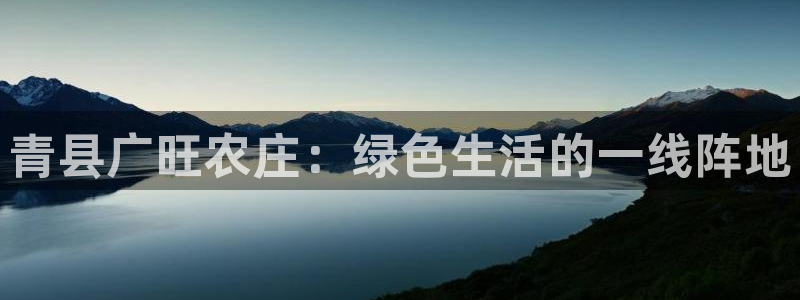 pg电子脚本