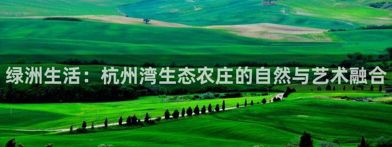 pg电子网站