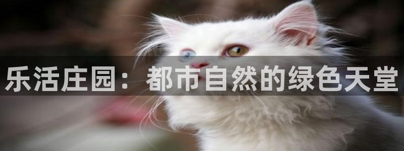 pg电子免费版ios