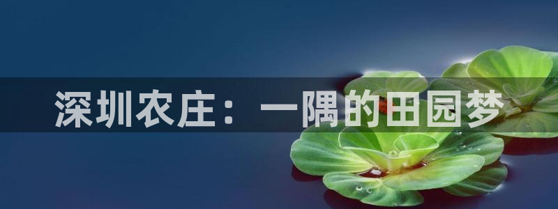 手机pg电子试玩版