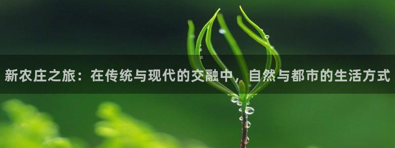 pg电子2000试玩金