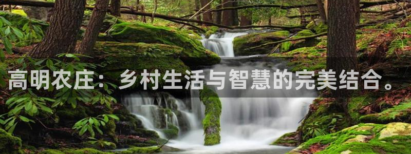pg电子官方网站