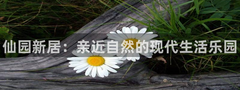 pg电子网址是多少