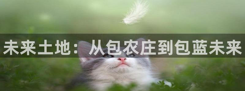 高爆率pg电子网址