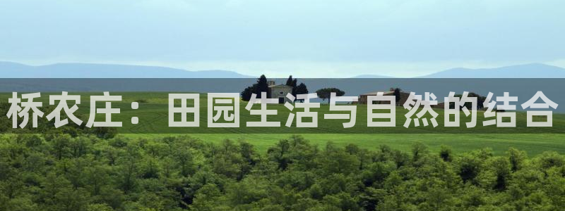 PG电子平台网址是多少