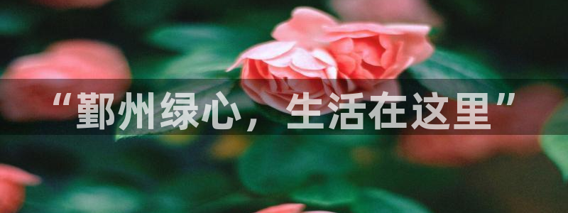 pg电子黄金寻宝城