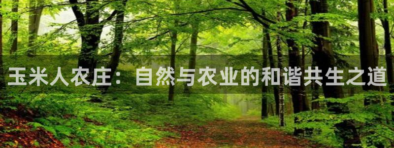 pg电子体育下载