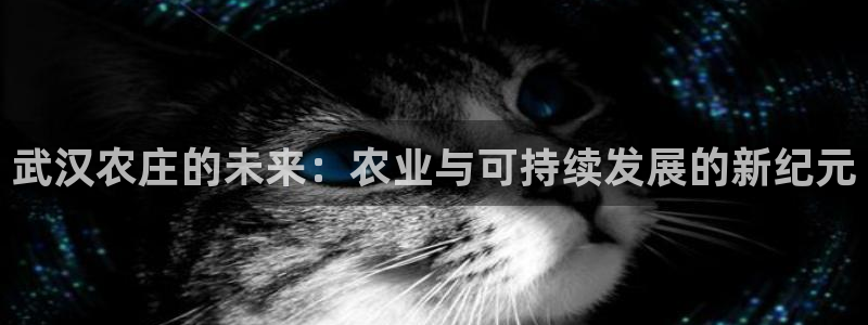 电子pg游戏网址