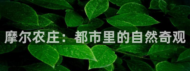 pg电子游艺大平台