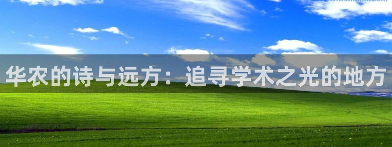 pg电子寻龙探怎么吃分