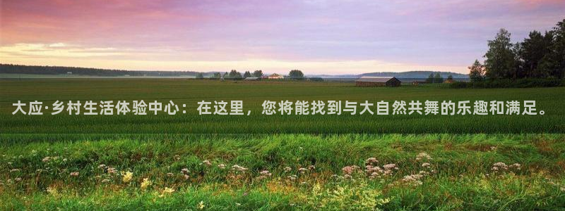 pg电子首页官方网站