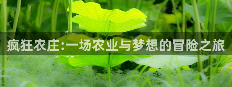 PG电子平台訫98db