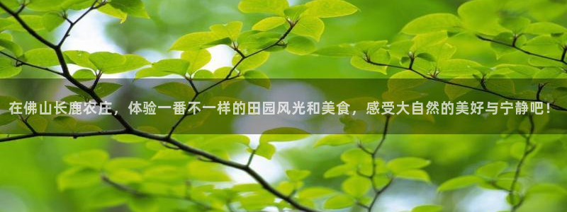 最火pg电子官网