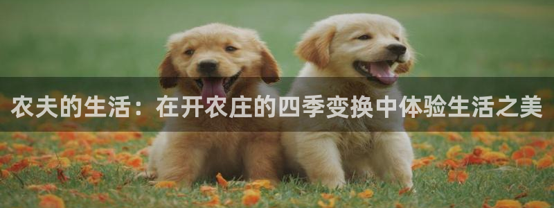 pg电子游艺大平台