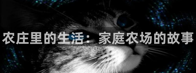 pg电子游戏贴吧