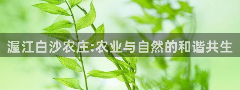 pg电子怎么能赢