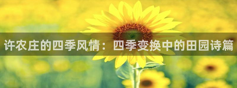 送彩金pg电子