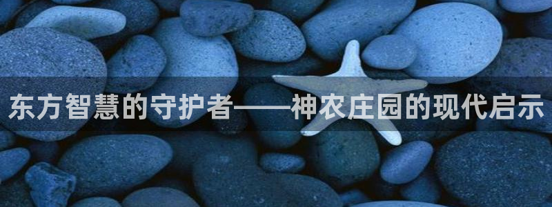 pg电子龙虎争霸