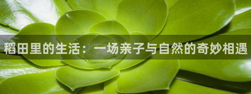 pg电子买免费旋转