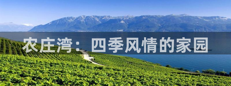 电子PG游戏麻将胡了游戏平台