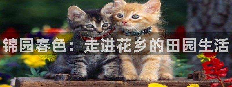 寻龙探宝pg电子
