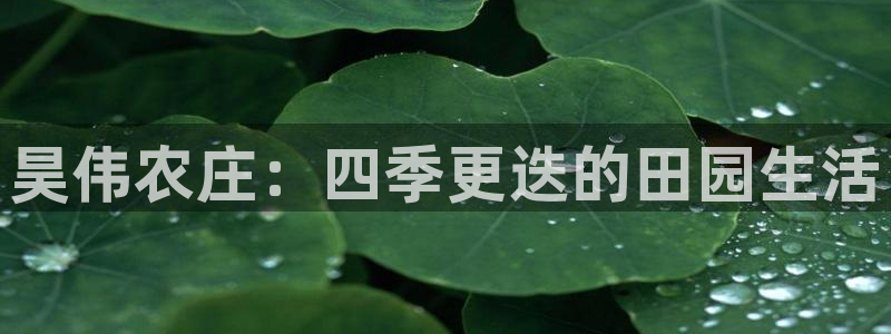 pg电子模拟器试玩版