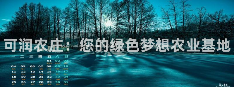 最火pg电子软件