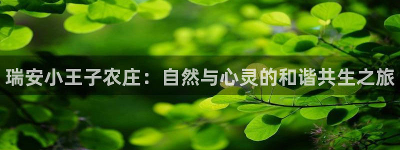 Pg电子游戏作弊
