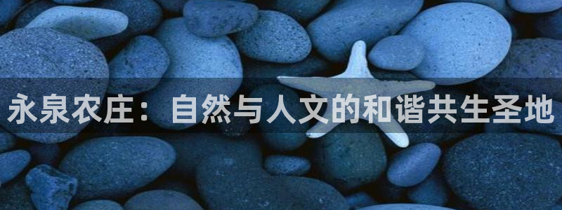 pg电子赏金船长技巧