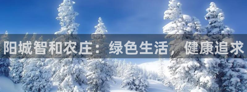 试玩pg电子游戏网址