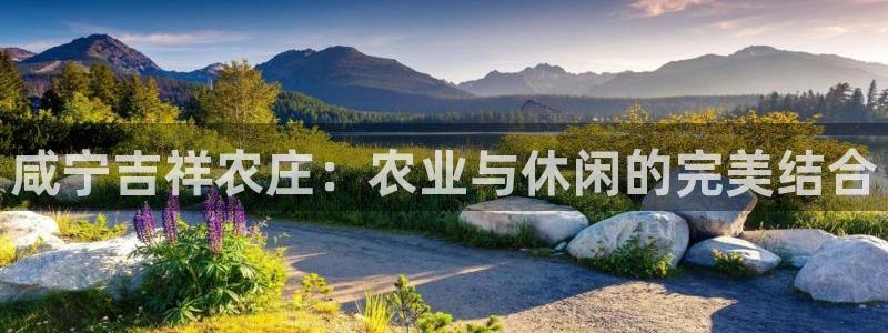 pg电子娱乐单机