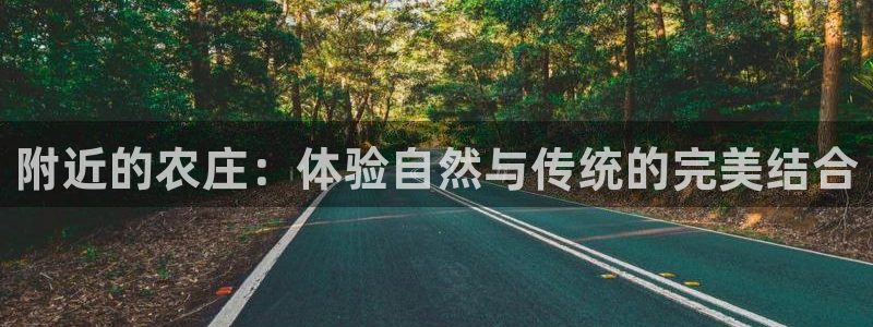 亚洲十大电子pg平台