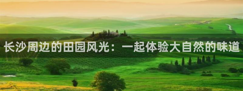 pg电子游戏爆分锦集