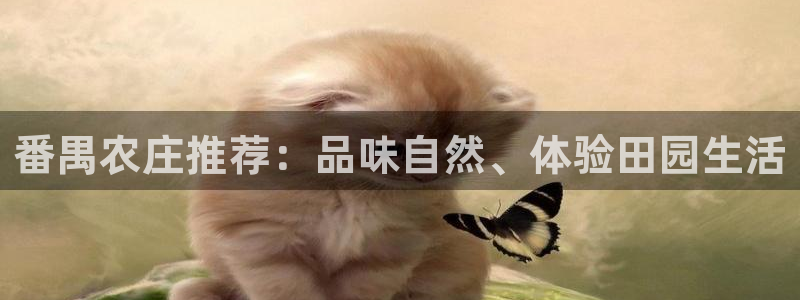 pg电子麻辣火锅爆浆