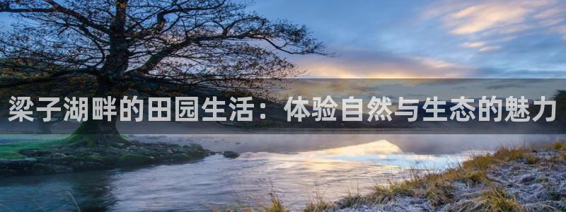 pg电子游戏官网