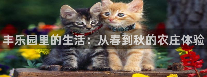 pg电子官方网址