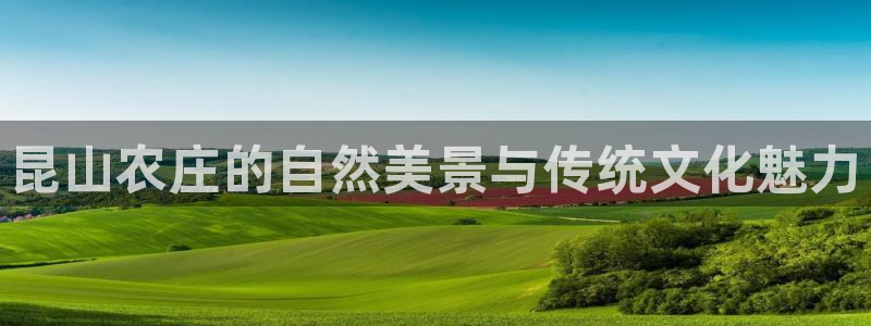 pg电子麒麟送宝爆分