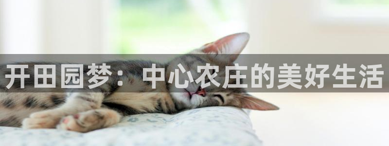 pg电子什么游戏好打