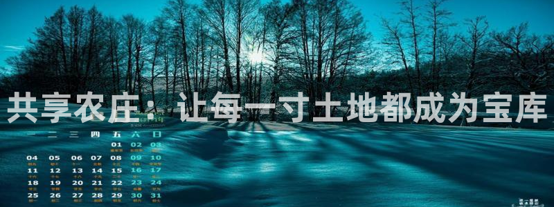 pg电子官方首页311