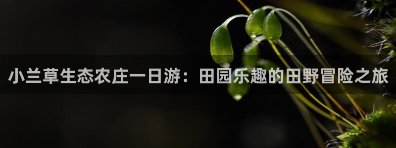 试玩pg电子y后之谜