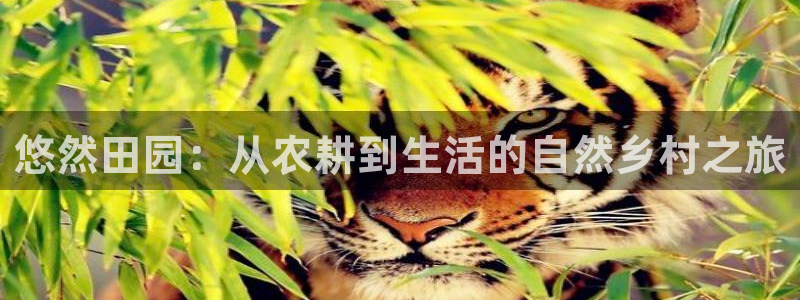 pg电子游戏爆奖