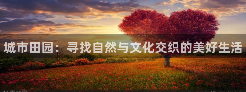 pg电子官方网站入口